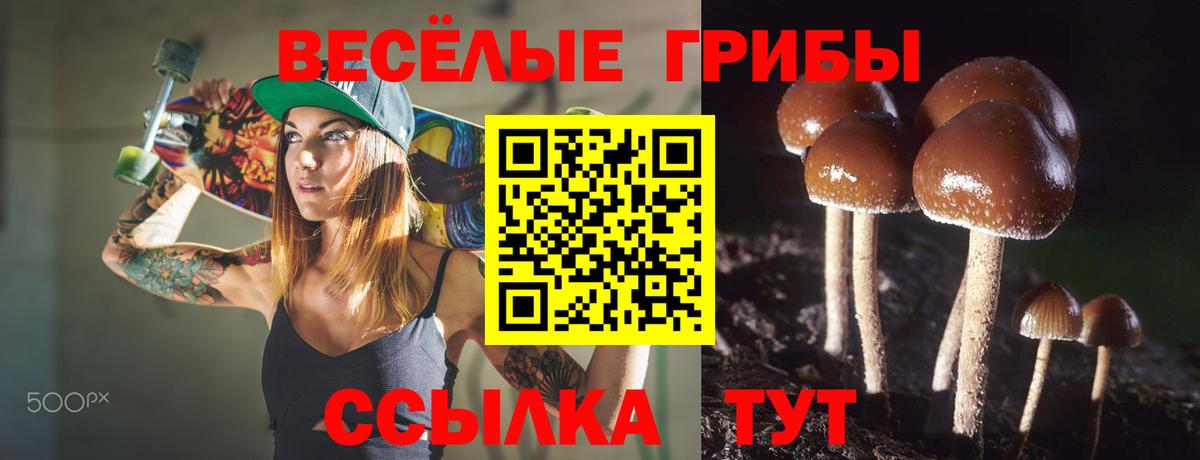 Галлюциногенные грибы Cubensis Буйнакск
